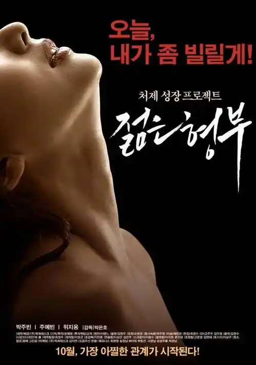 甄嬛传电视剧封面